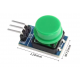 Large Button Module Green